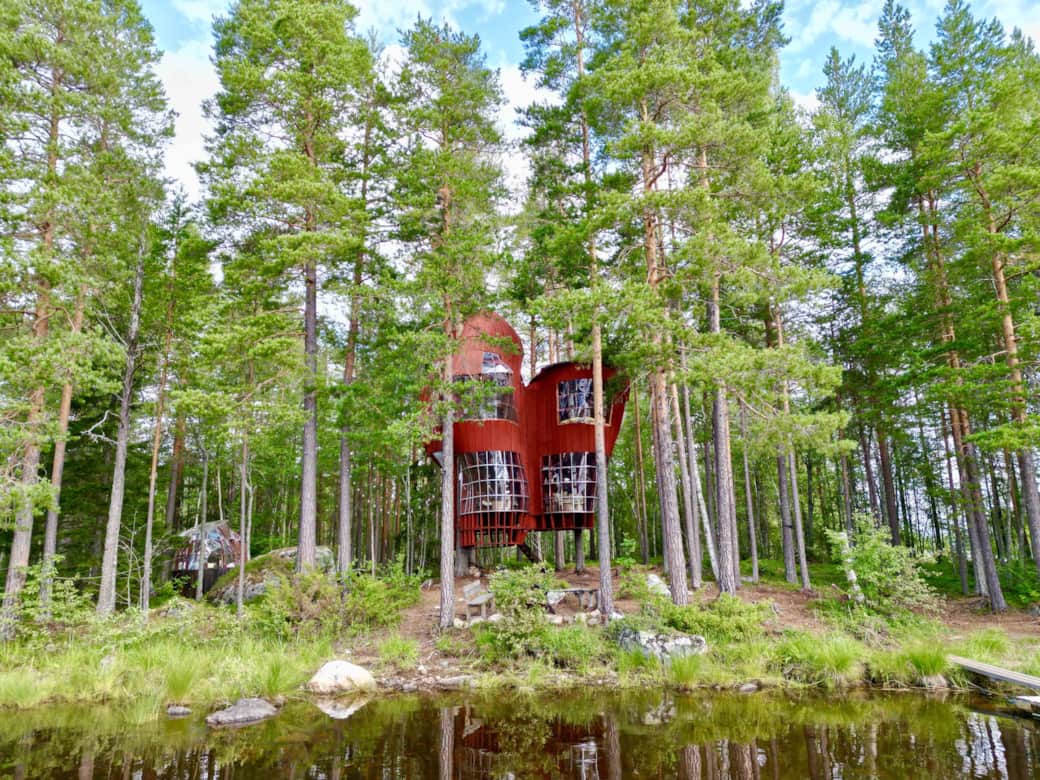 The haven islands Best Airbnb maison ours Treehouse Cabane dans les arbres Anthony VERLAINE 26 The haven islands Best Airbnb maison ours Treehouse Cabane dans les arbres Anthony VERLAINE 26
