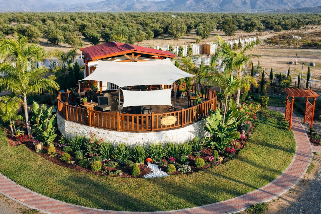 ChatGPT Image 17 ene 2026, 13_32_44 ChatGPT Image 17 ene 2026, 13_32_44