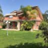 Rental image