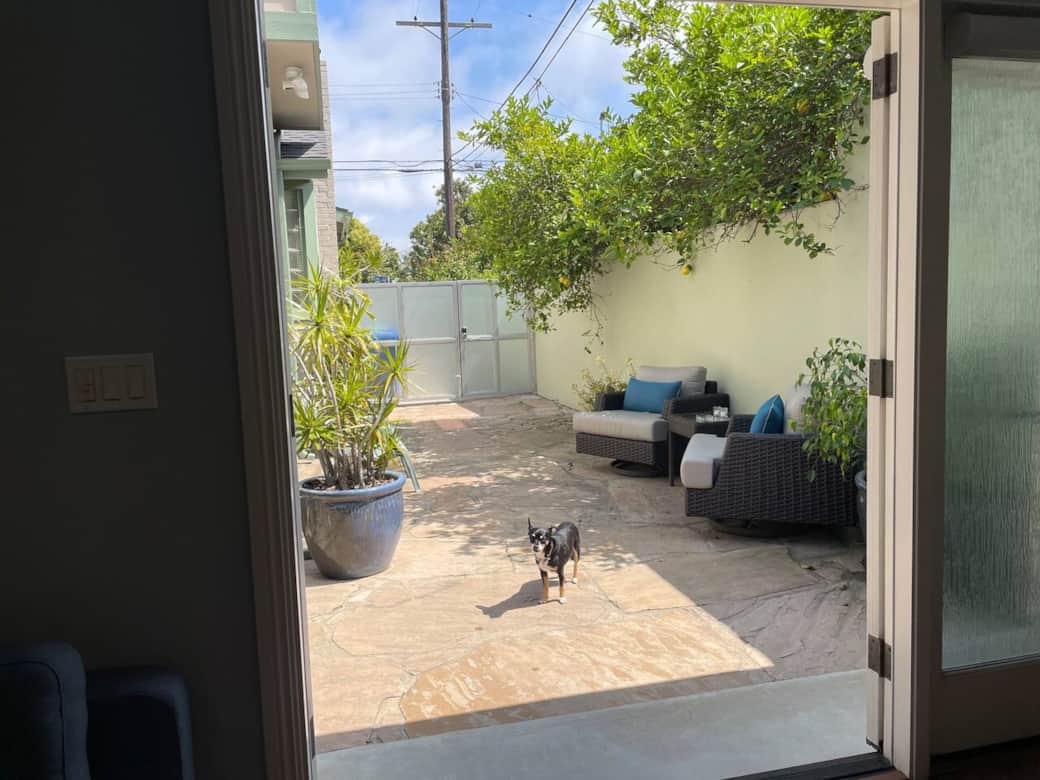  A view to the patio from inside the cottage.