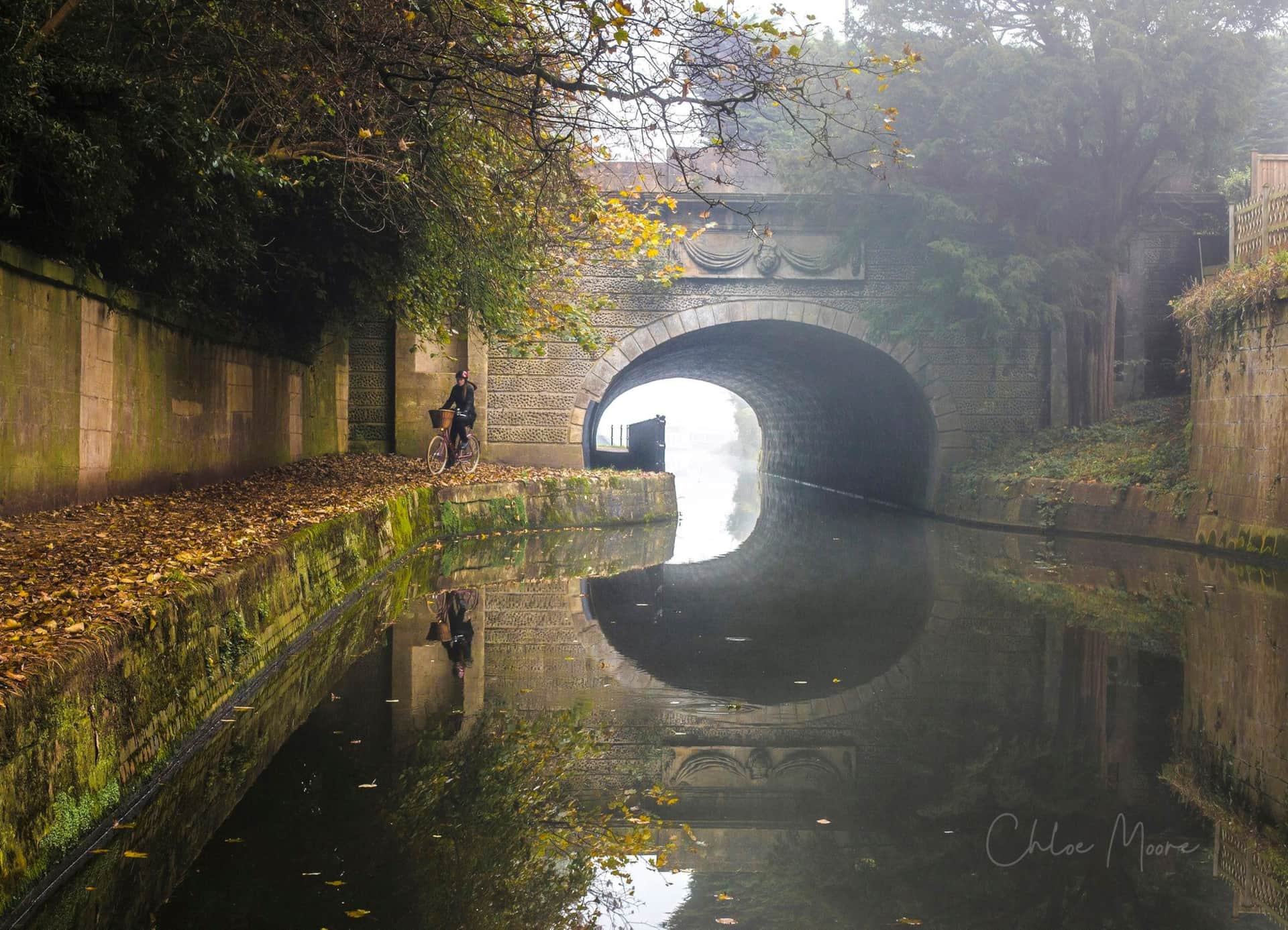 The Green Leaf Apartment Home