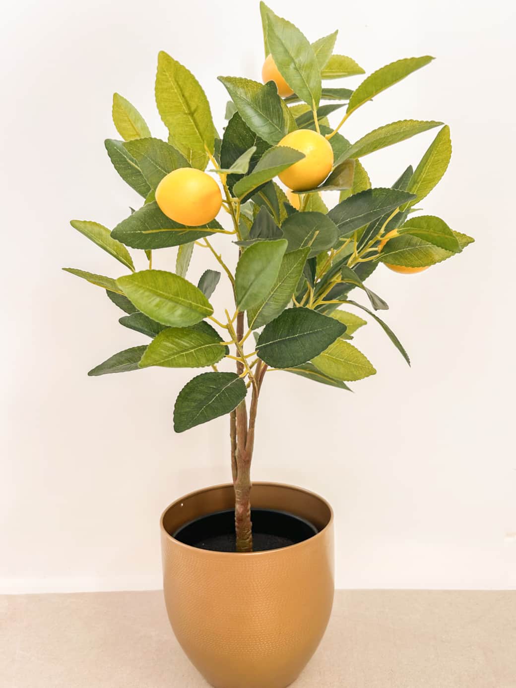 Citronnier 