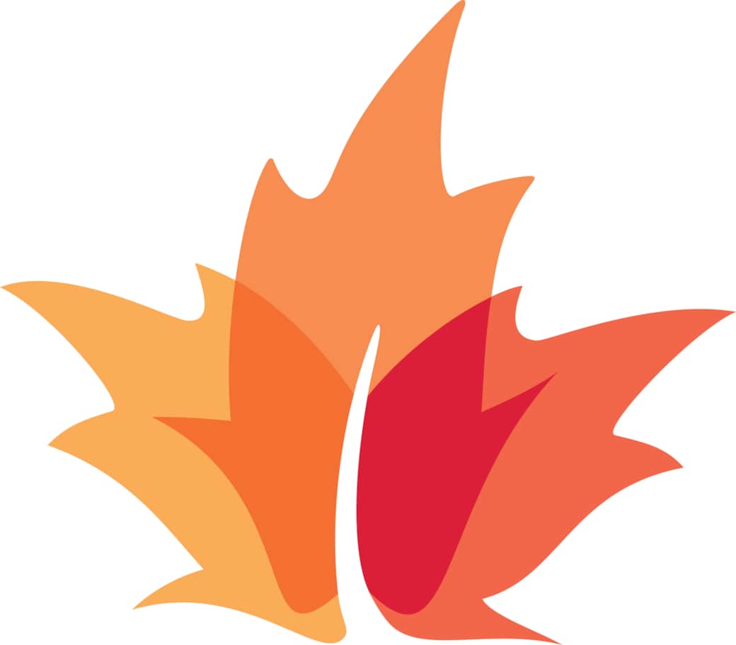 LogoKanata Feuille 300RGB