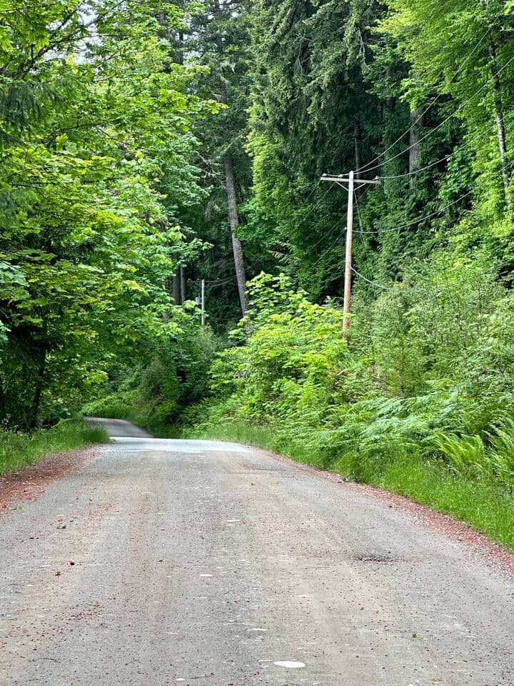 Scene walking down Tripp Rd