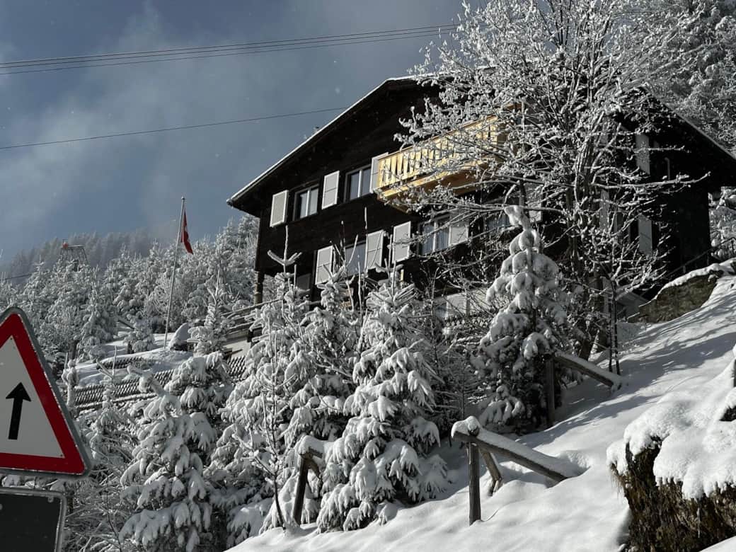 The House in Winter The House in Winter