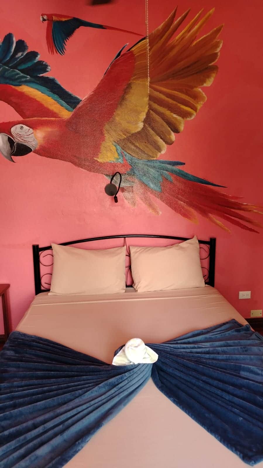 Parrot Room - double bed 1