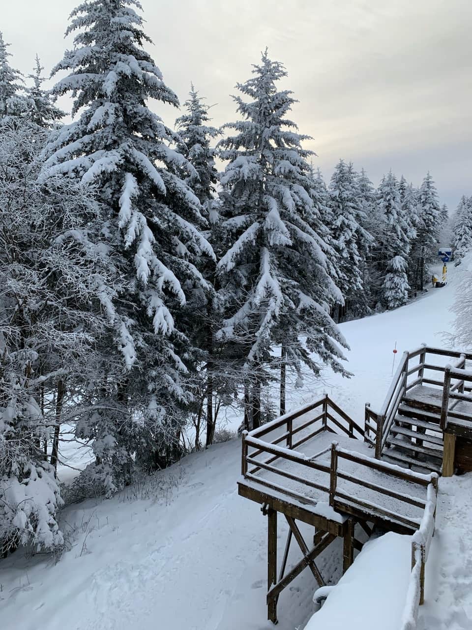 Nanook's Loggers Run - Balcony View of Slopes