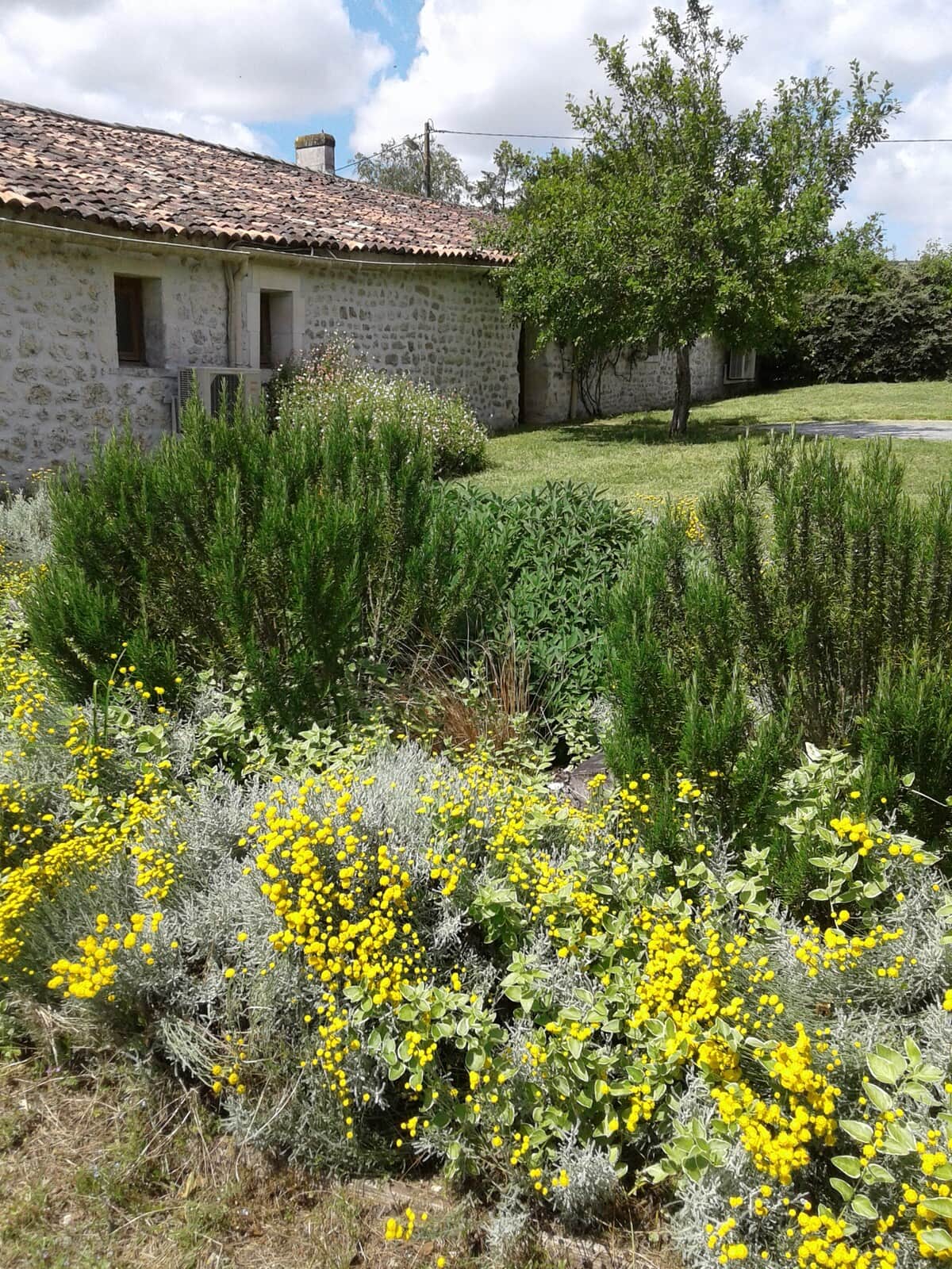 Le Jardin aux aromates 