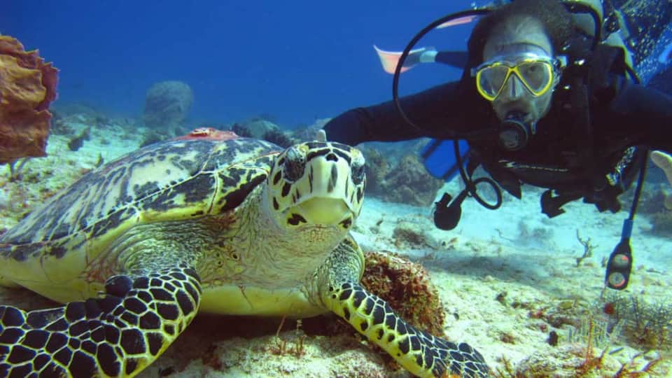 Scuba Diving in Akumal