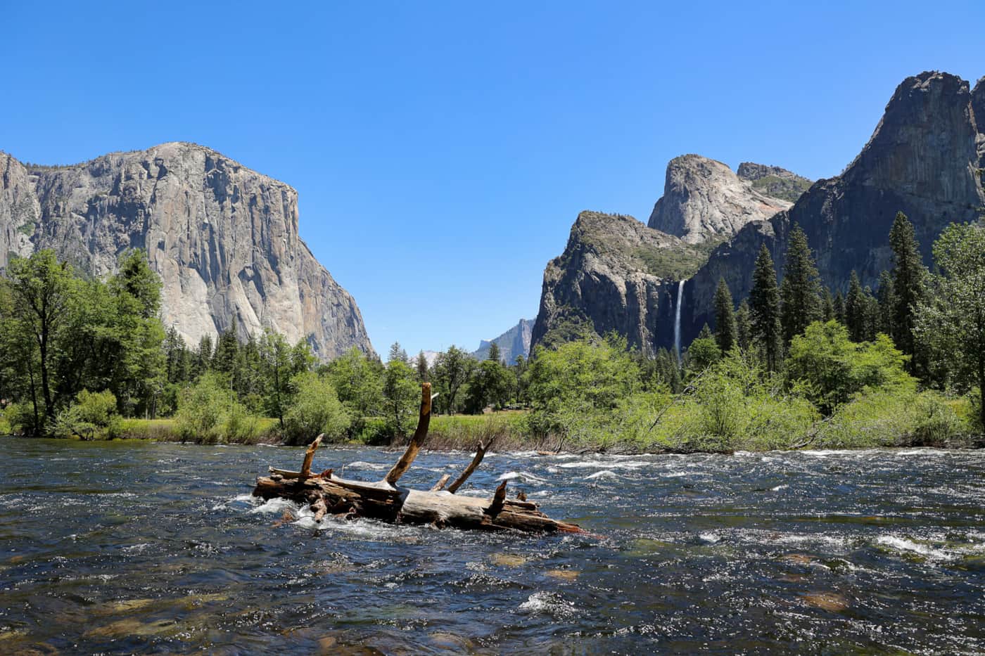 Merced River flowing through Yosemite Valley with granite cliffs in the distance