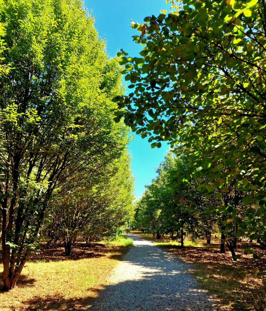 Parco WWF
