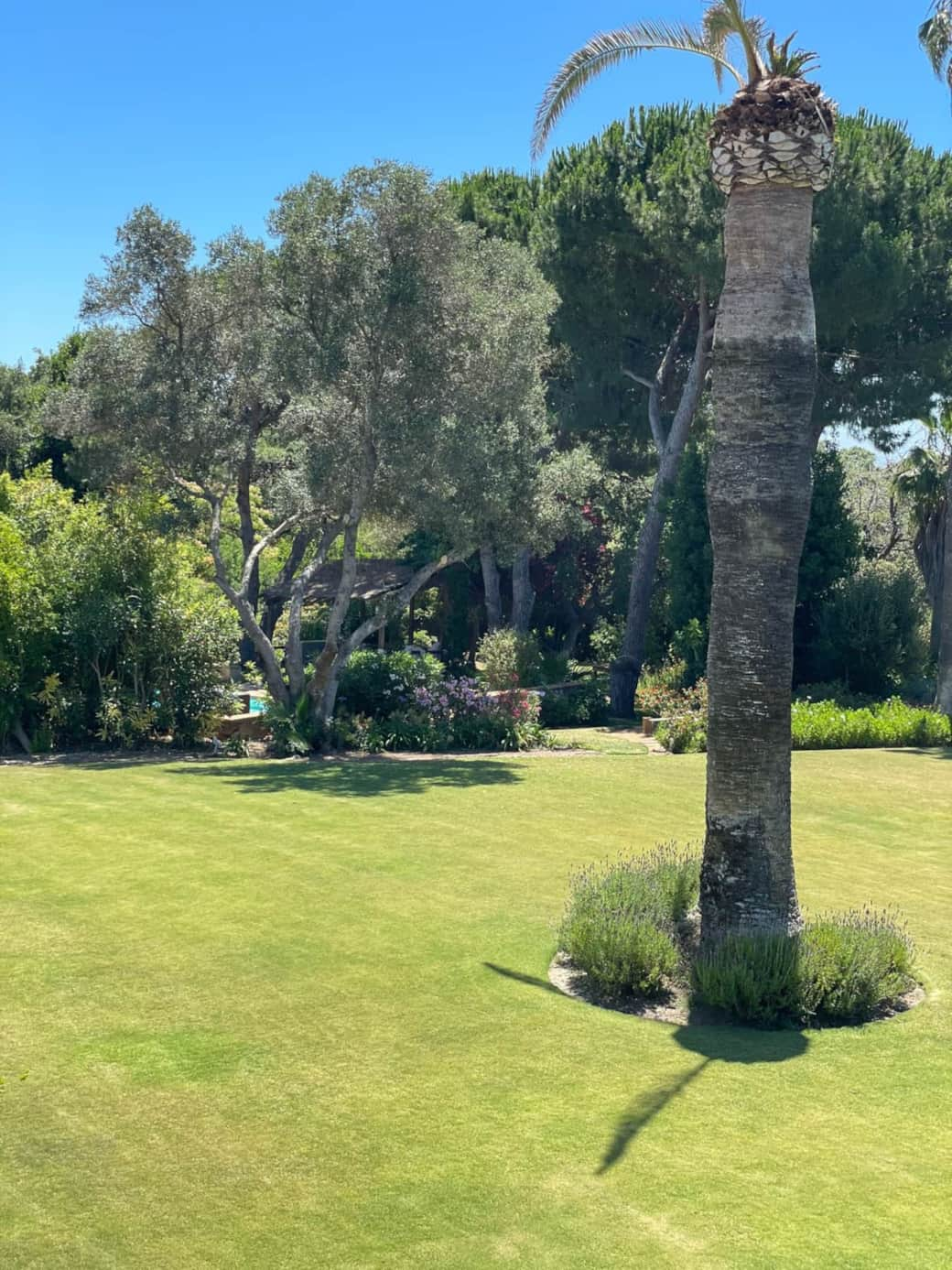 View Towards Pool