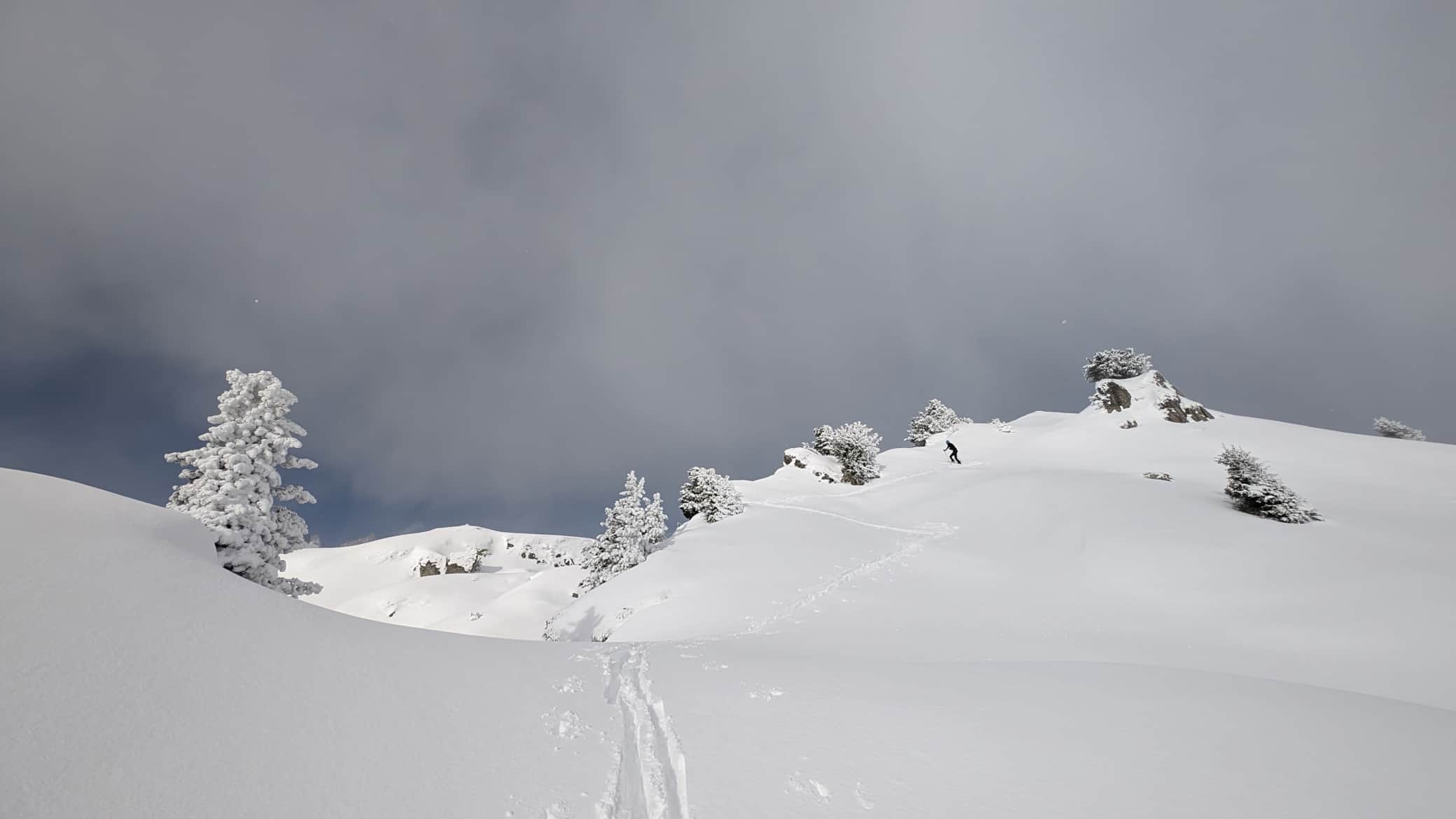 Touren in der Aletsch Arena