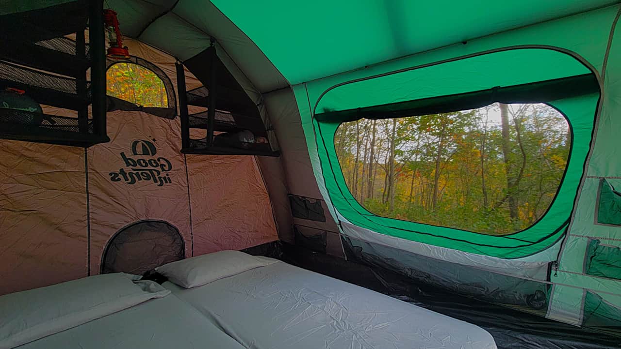 Tilia inside tent looking north