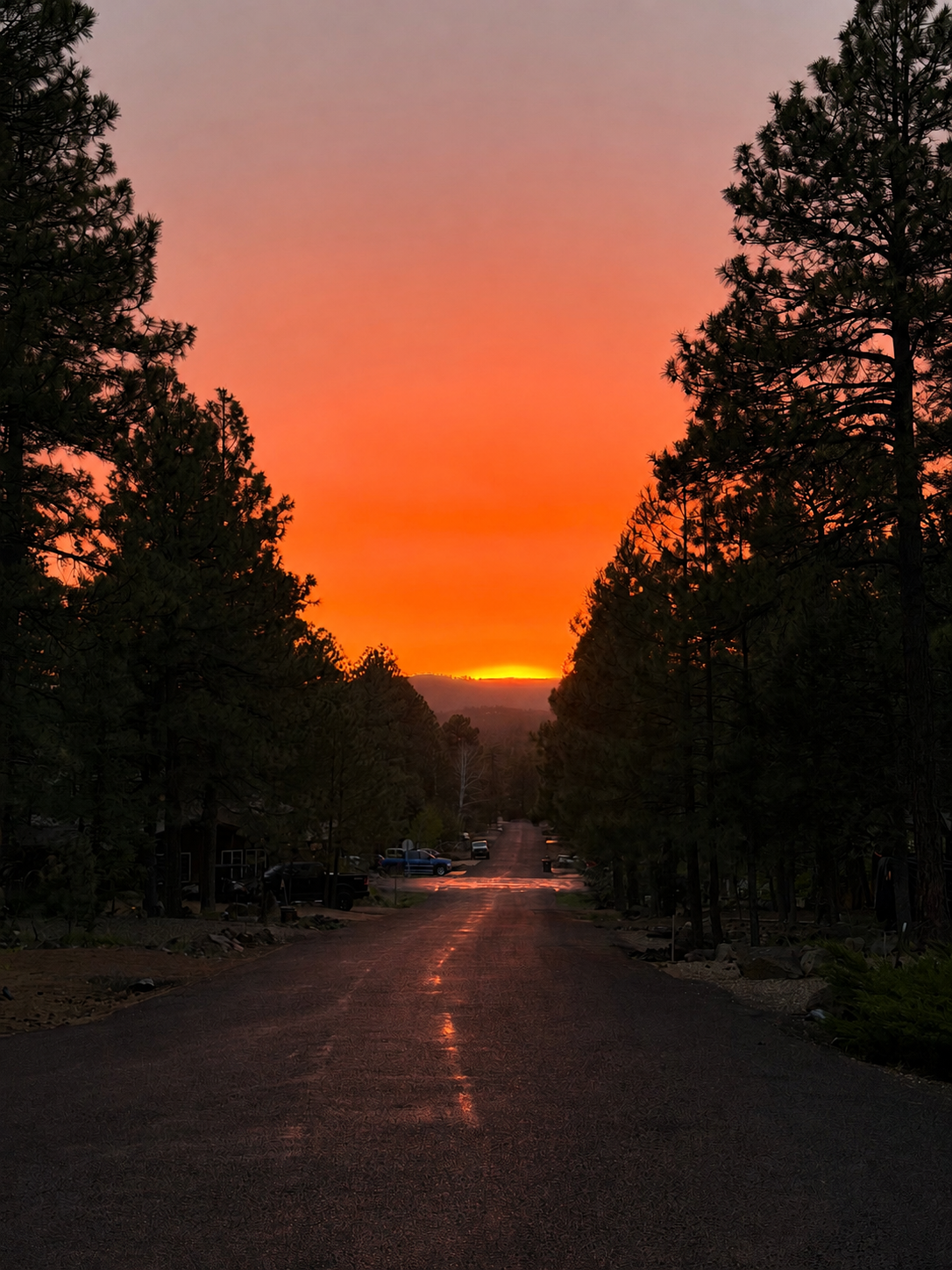 Scenic forest road to Jag Cabin, a mountain cabin rental in Munds Park near Flagstaff