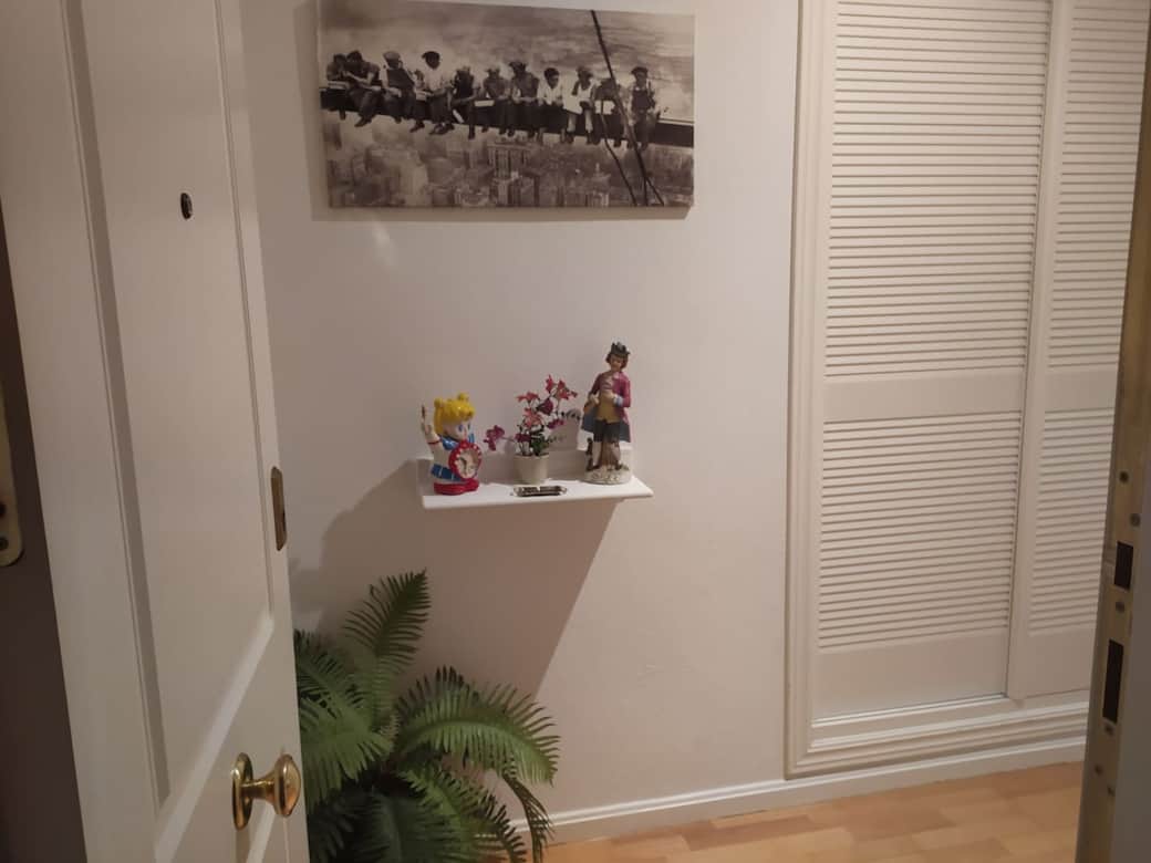 Entrada al apartamento con puerta blindada y al fondo un armario empontrado