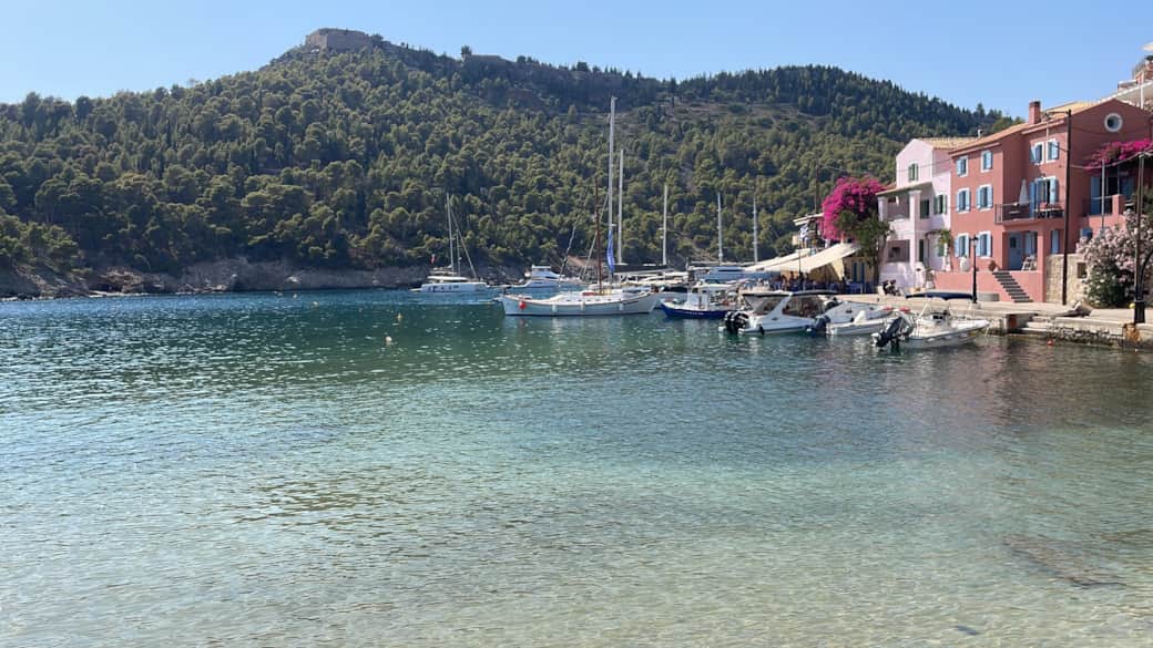 Assos