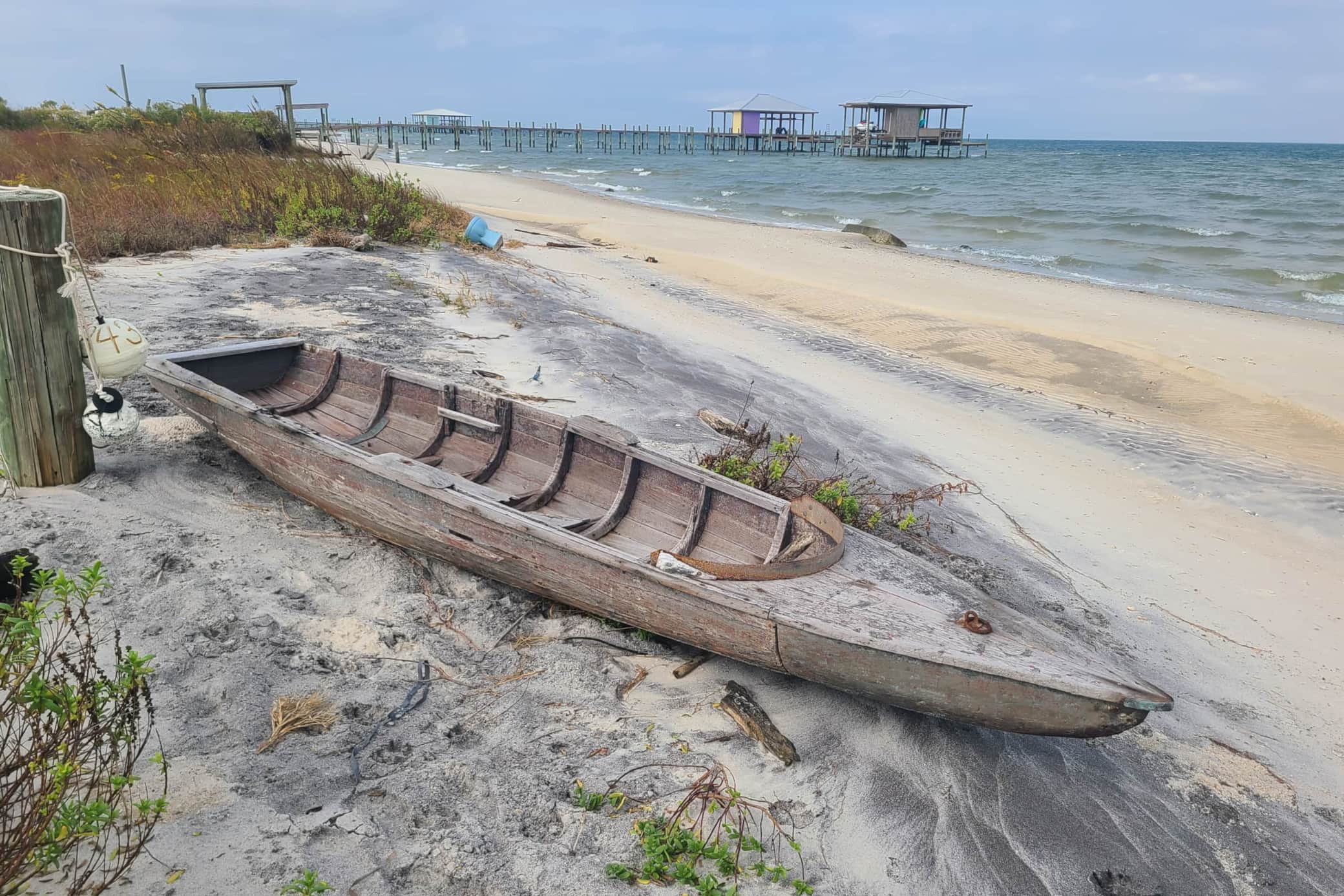 Beach Find.jpg