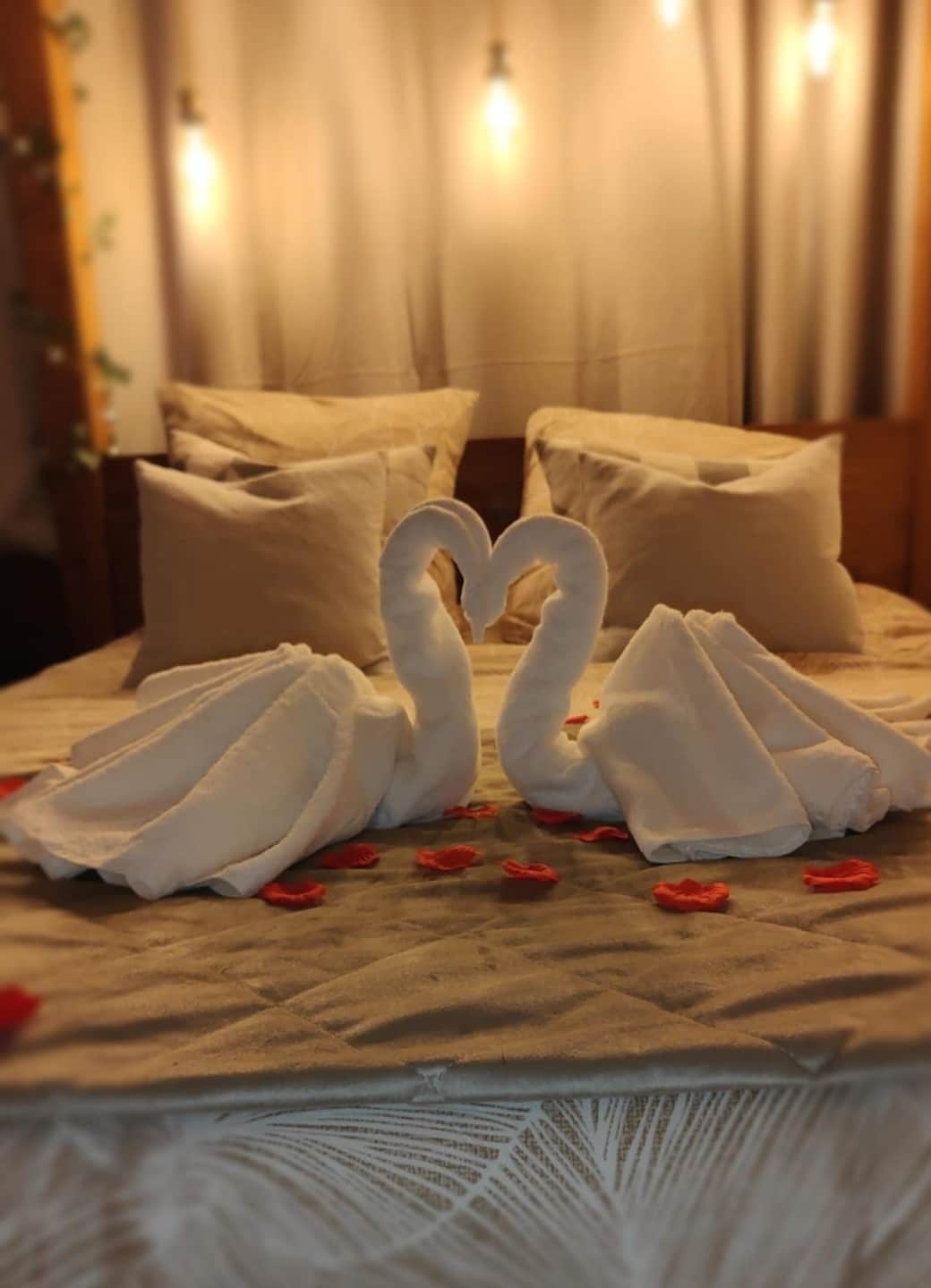 Lit baldaquin avec option décoration romantique! ❤️