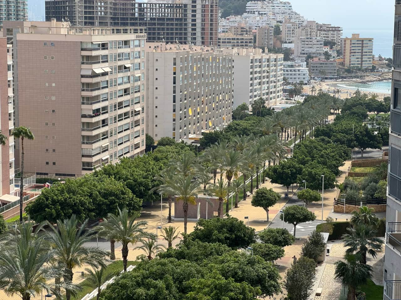 View