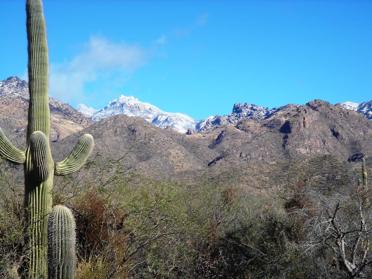 Sabino Canyon Hiking View
