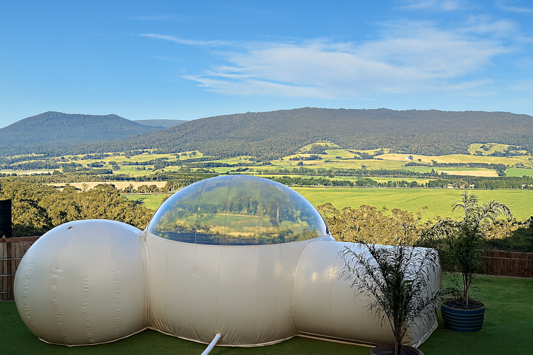 E919D330 4295 490D 91E9 E8065E506DA8