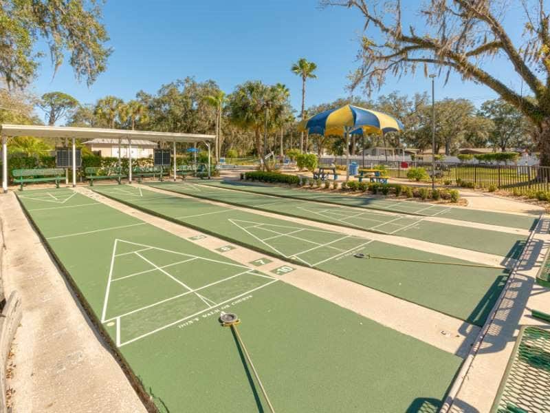 Tampa east shuffleboard amenity