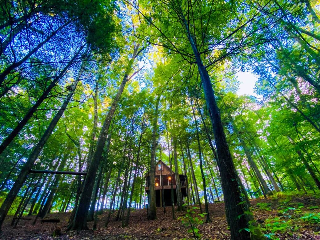 Serenity at its finest.  Relax and unwind amongst the trees.  The Waterfall Haven cabin is a few miles from 3 different boat ramps and a marina, nestled in the heart of Daniel Boone National Forest.