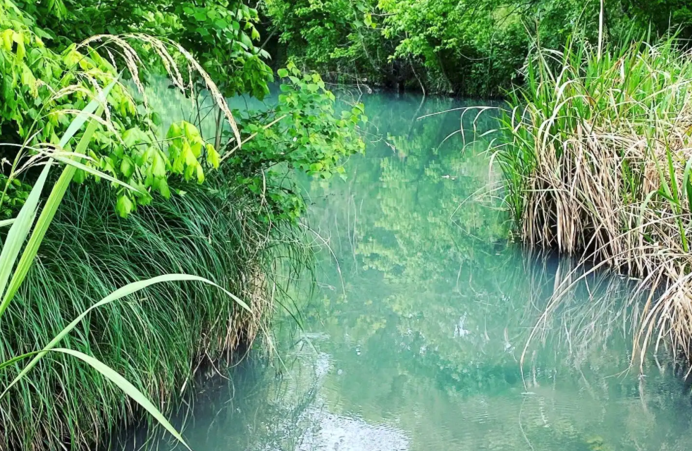 Geronimo Creek is a beautiful Spring-fed Creek. Geronimo Creek is a beautiful Spring-fed Creek.