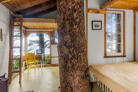 Small Tree House Interior