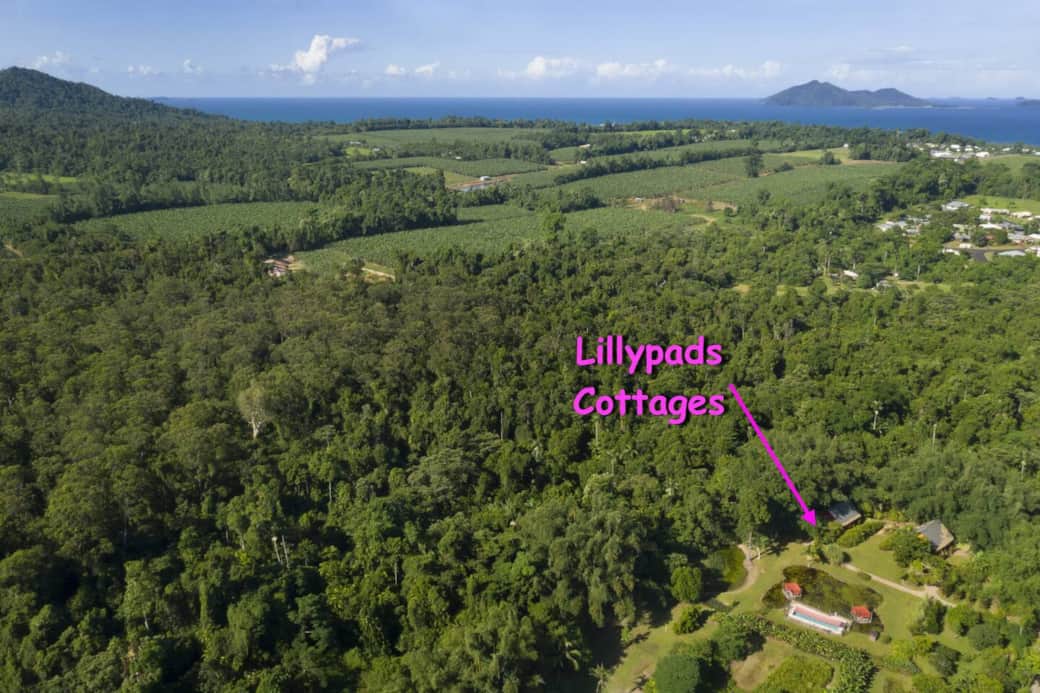 Lillypads Yellow Cottage - Look at this location!