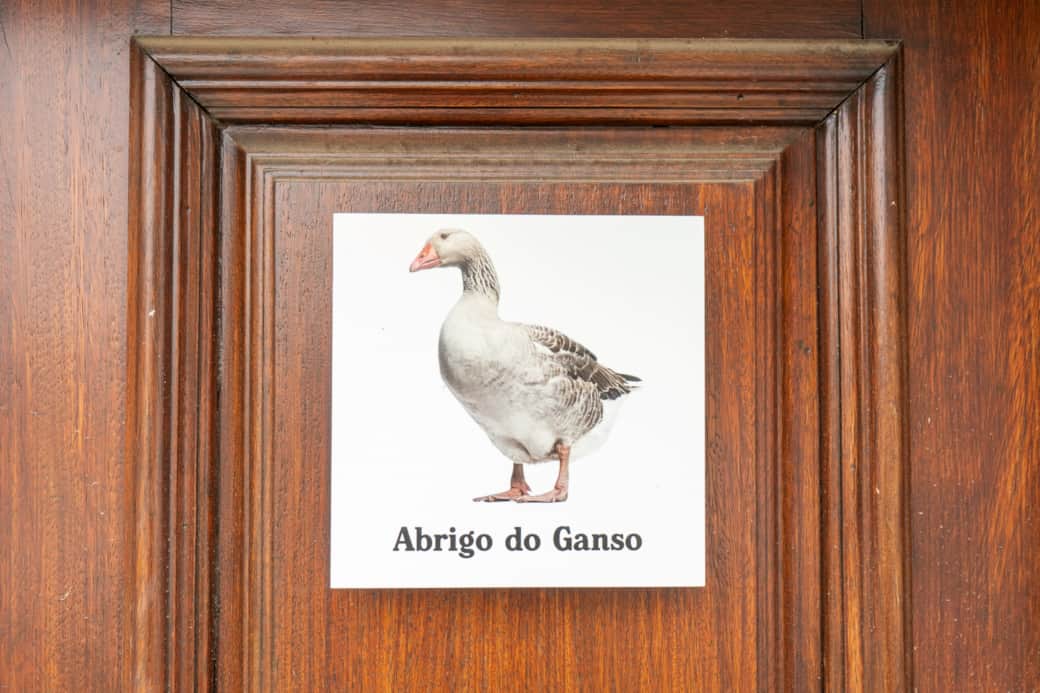 Abrigo do Ganso