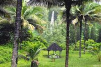 cocotiers espaces vert cabanon et cascade