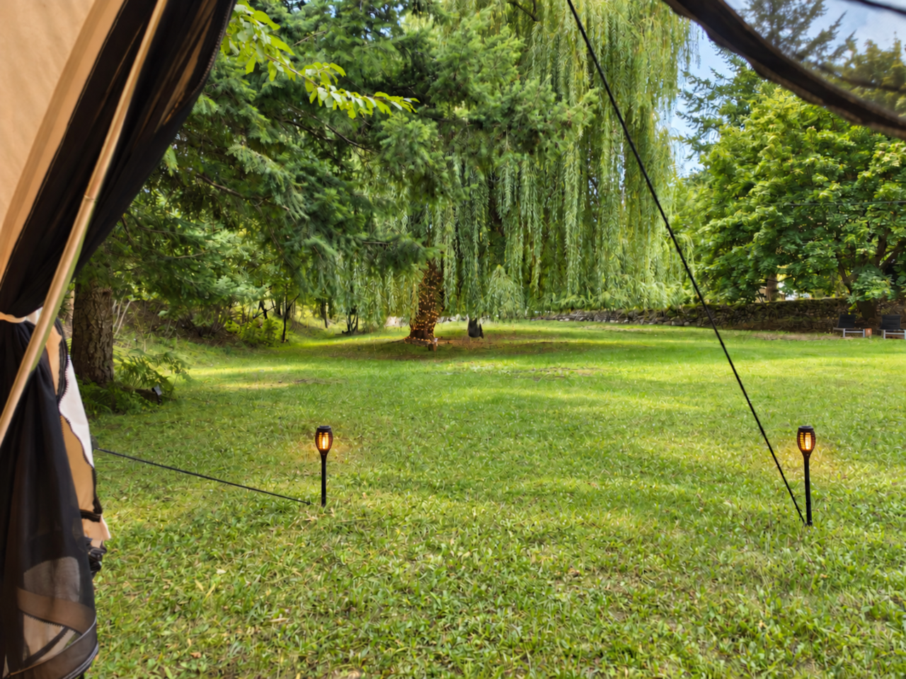 Wake to Green Meadow Views Beneath the Willow Trees