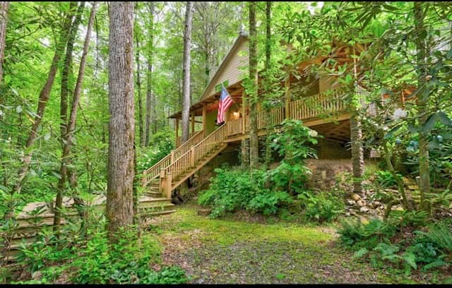 Back Yard Back Yard