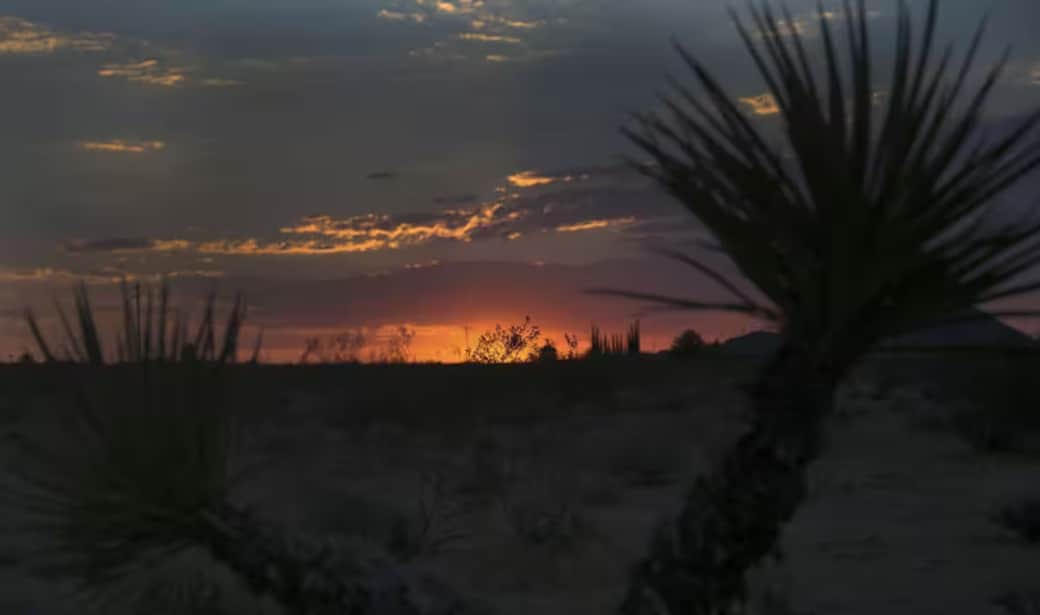 Motel California - Back Yard Sunset 5 Acres to explore