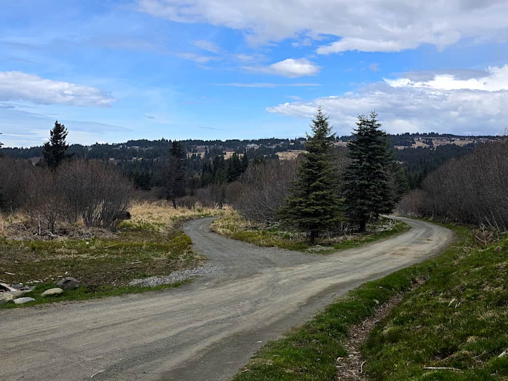 View 3