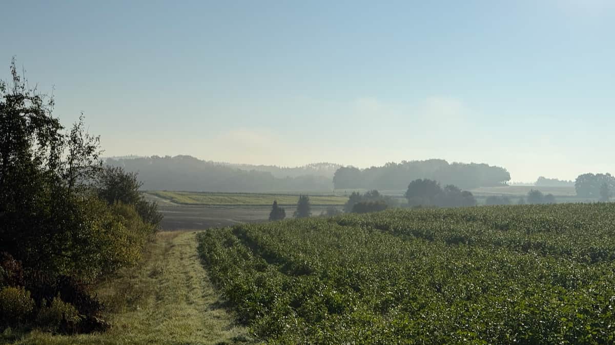 Feld, Wald, Weite! Feld, Wald, Weite!
