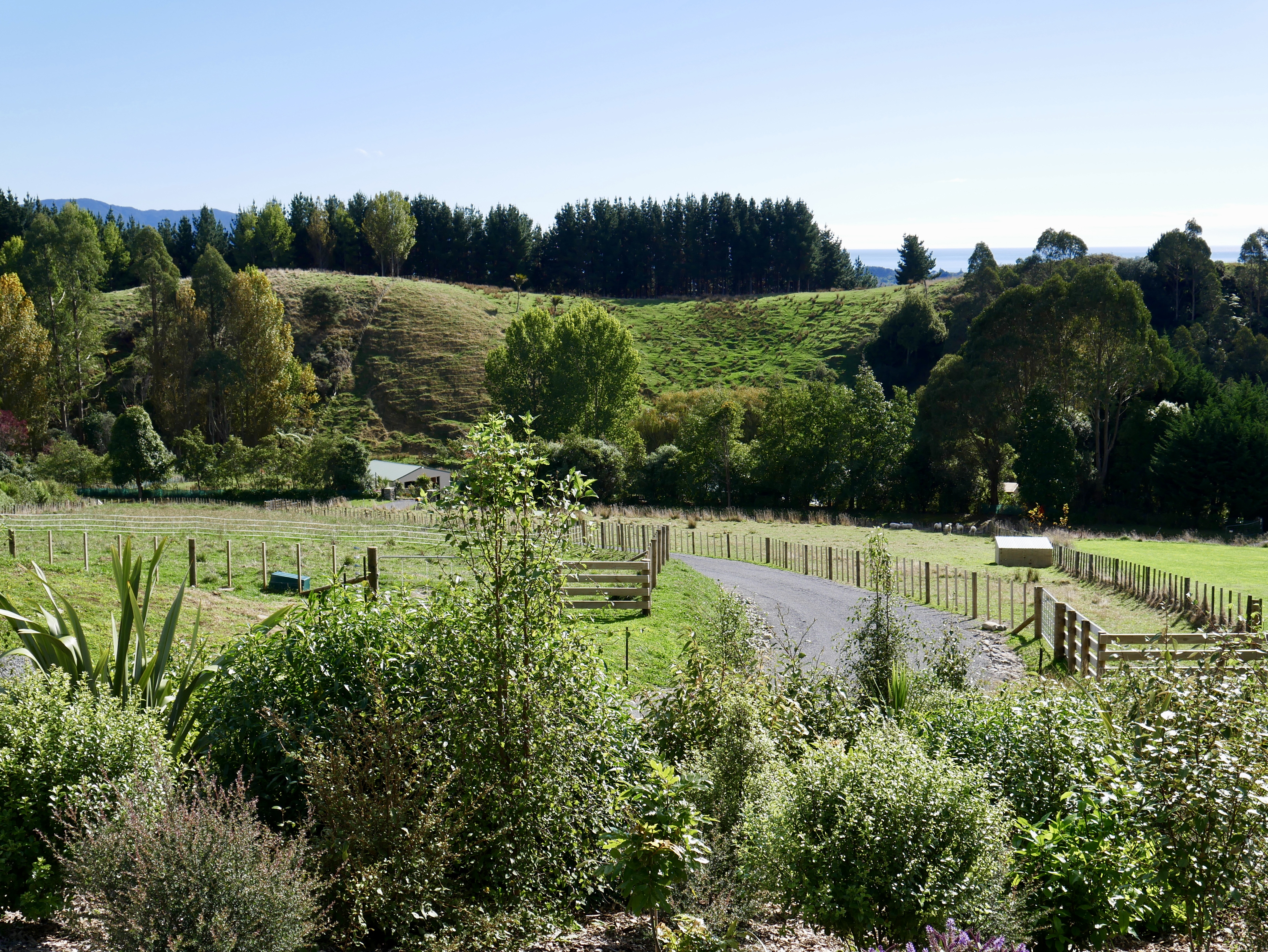 View from the front lawn looking out towards the sea and Kapiti Island from Aston Road Villa