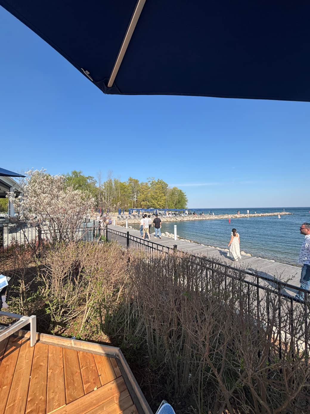 Boardwalk along the Lake