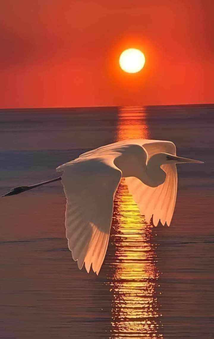 https://l.icdbcdn.com/oh/56bfe0d1-4f90-4890-97cb-0aeabe557b4b.jpg?w=2080-54