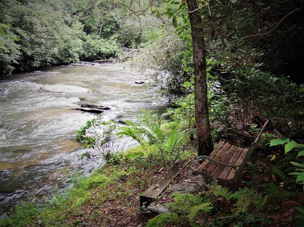 Nature trail along river