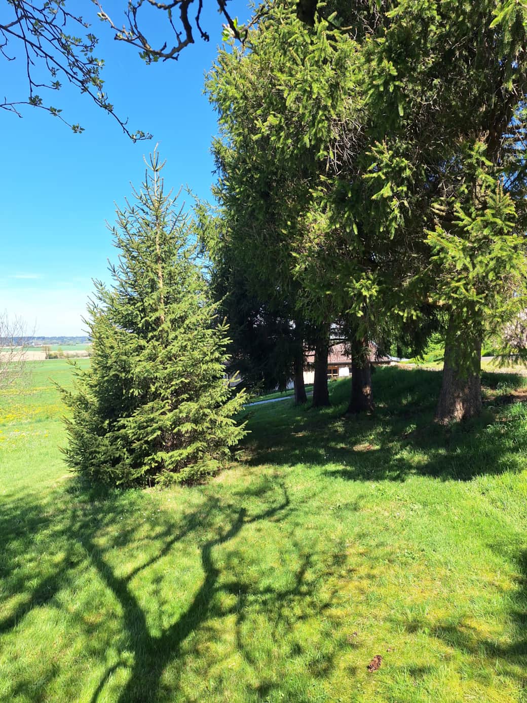 Idylle rund um das Ferienhaus