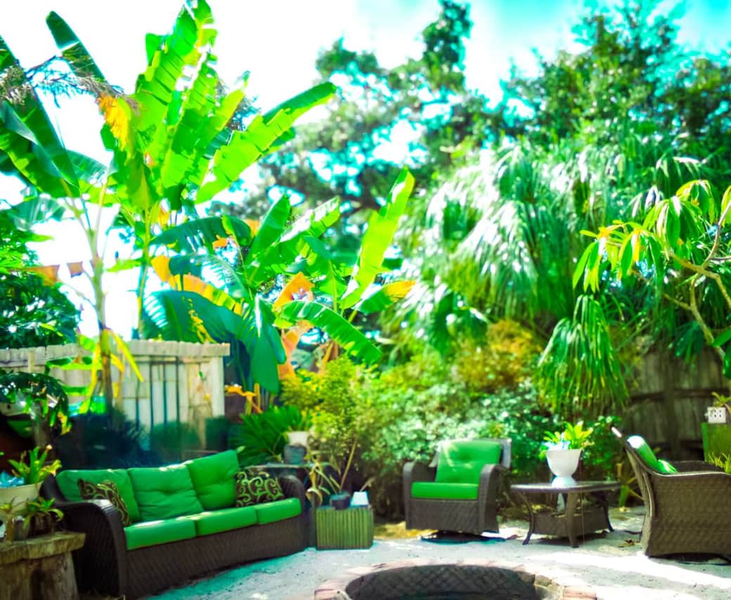 At Fennario Resort, enjoy at tropical oasis on the mini beach with lush plants, banana trees, and palms. Cozy wicker furniture with green cushions surrounds a central fire pit, offering a relaxing space to unwind. At Fennario Resort, enjoy at tropical oasis on the mini beach with lush plants, banana trees, and palms. Cozy wicker furniture with green cushions surrounds a central fire pit, offering a relaxing space to unwind.