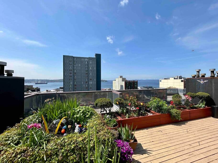 Roof Top Balcony Roof Top Balcony