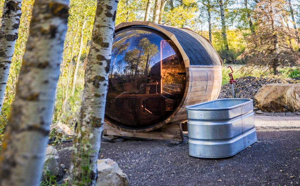The Sauna & Cold Dip Tub