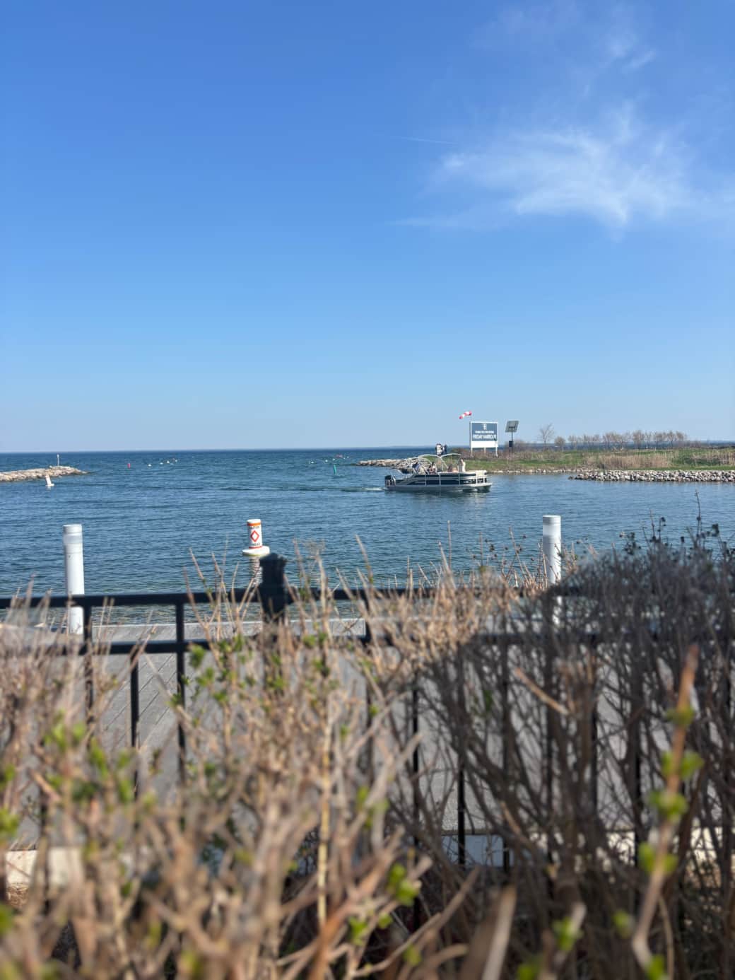 Lake Simcoe Pool Views