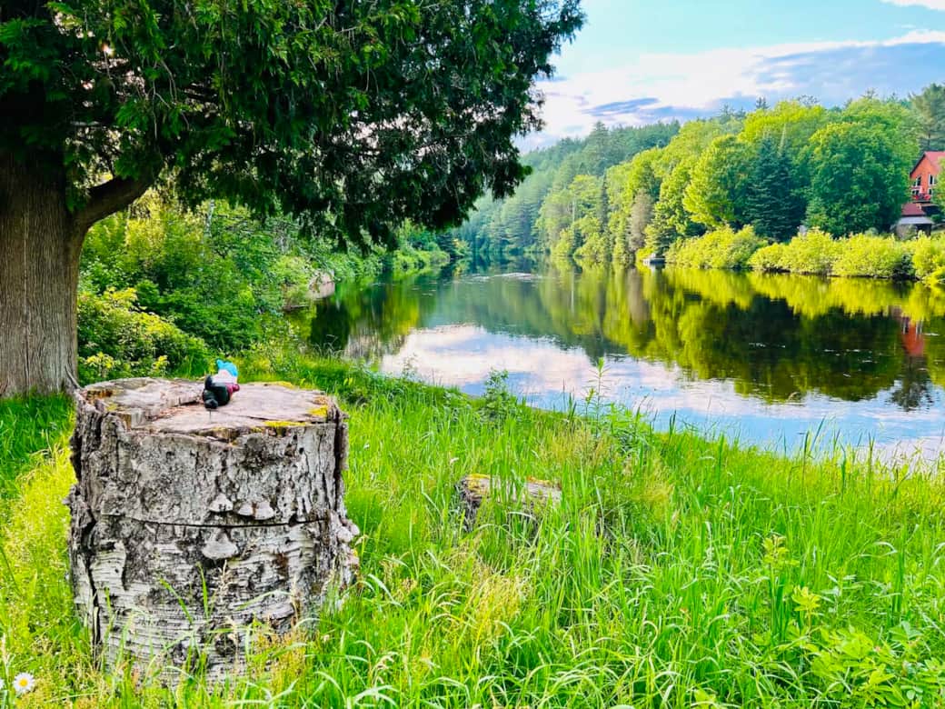 Rivière été