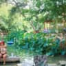 Rental image