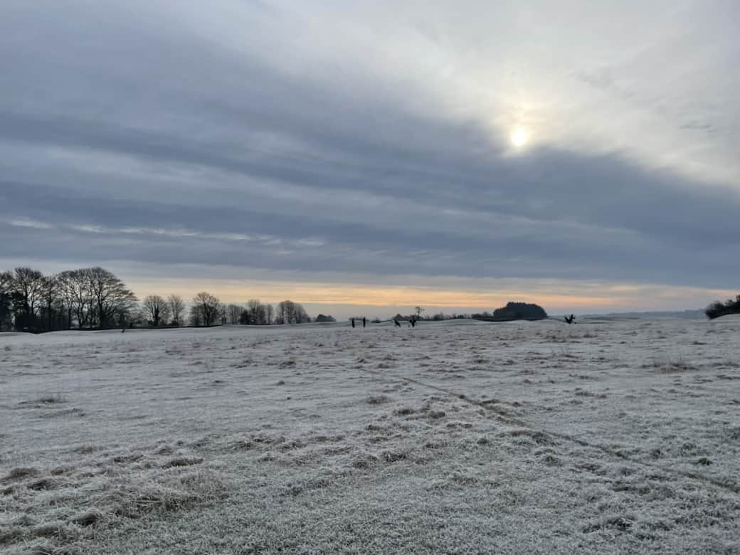 Common in Winter